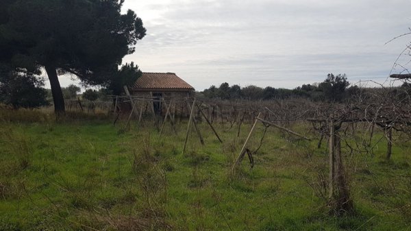 locale di sgombero in vendita a Cerveteri