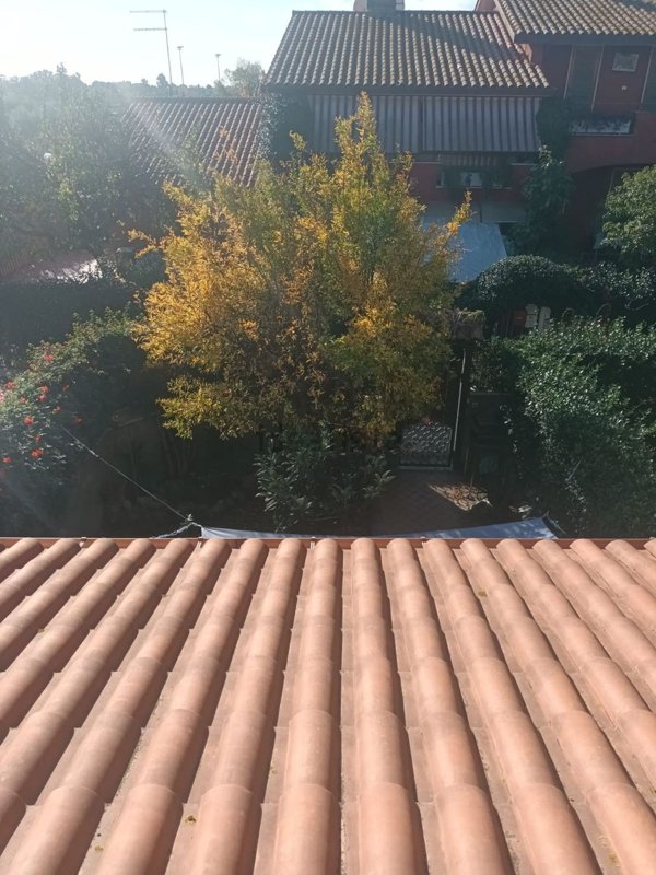 appartamento in vendita a Cerveteri