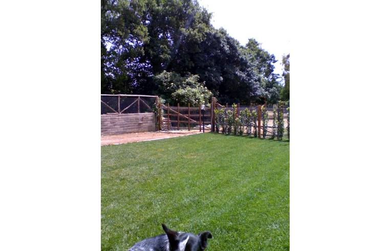 casa indipendente in vendita a Cerveteri in zona Sasso