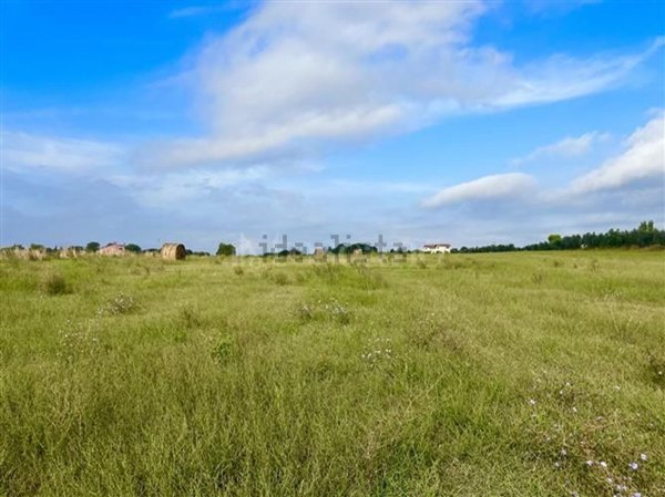 terreno agricolo in vendita a Cerveteri