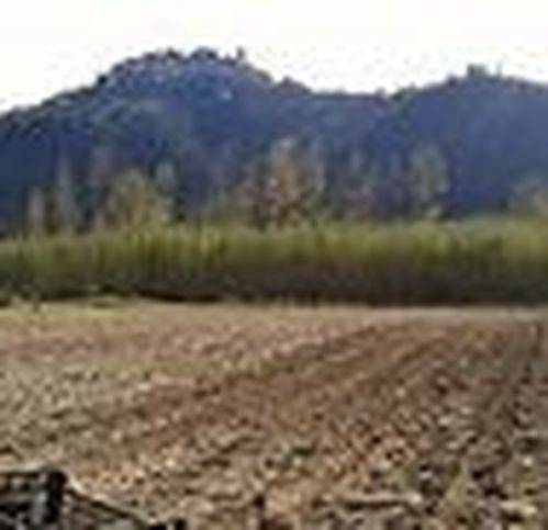 terreno agricolo in vendita a Cerveteri in zona Ceri