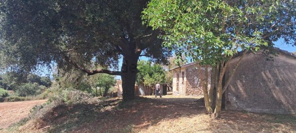 pentavano in vendita a Cerveteri