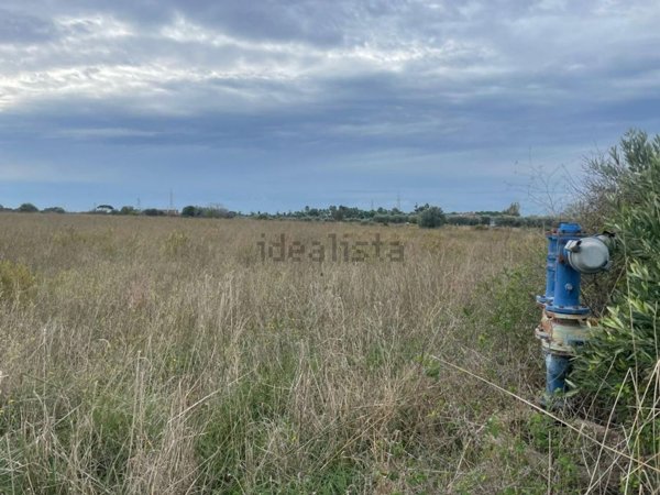 terreno agricolo in vendita a Cerveteri