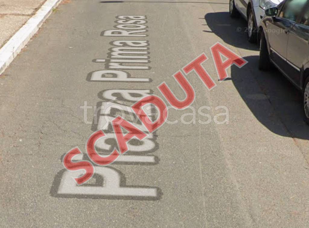 negozio in vendita a Cerveteri in zona Marina di Cerveteri