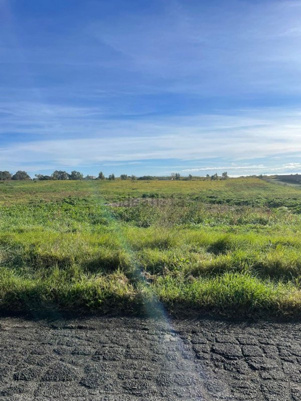 terreno agricolo in vendita a Cerveteri