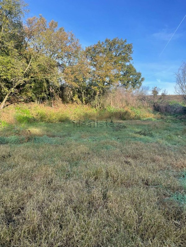 terreno agricolo in vendita a Cerveteri in zona Ponte Coperto