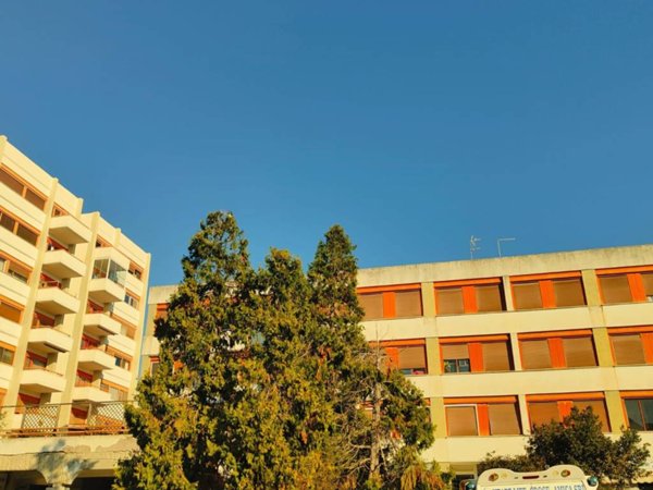 appartamento in vendita a Cerveteri in zona Cerenova