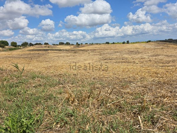 terreno agricolo in vendita a Cerveteri
