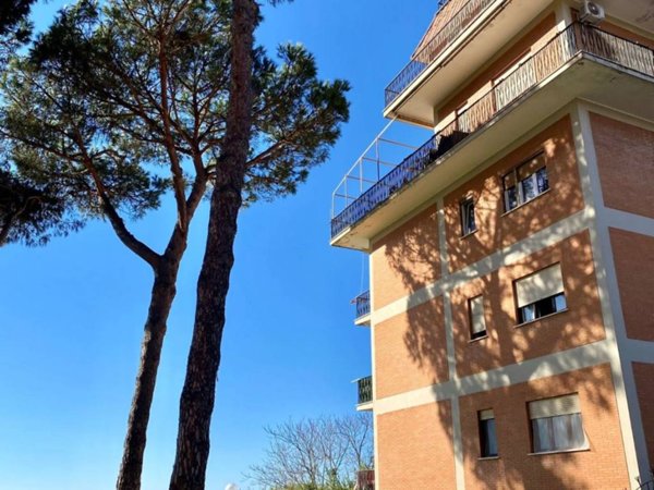 appartamento in vendita a Cerveteri