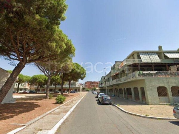 negozio in vendita a Cerveteri