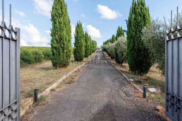 casa indipendente in vendita a Cerveteri