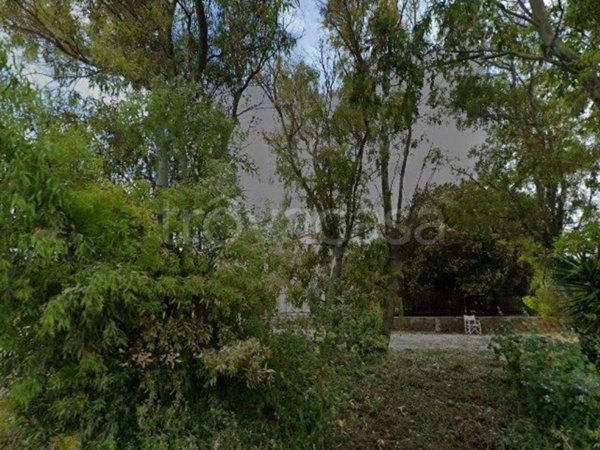 terreno agricolo in vendita a Cerveteri in zona Ceri