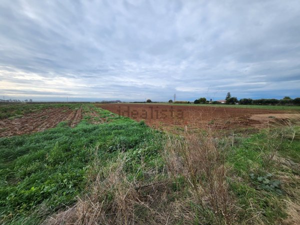 terreno agricolo in vendita a Cerveteri
