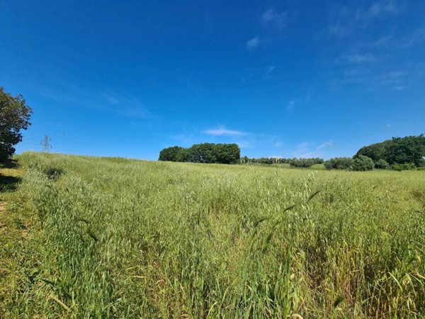 terreno agricolo in vendita a Cerveteri