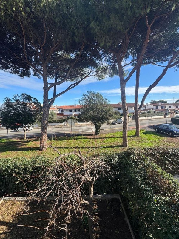 casa indipendente in vendita a Cerveteri in zona Cerenova