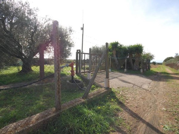 terreno agricolo in vendita a Cerveteri in zona San Martino