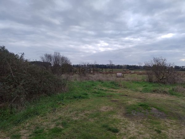 terreno agricolo in vendita a Cerveteri