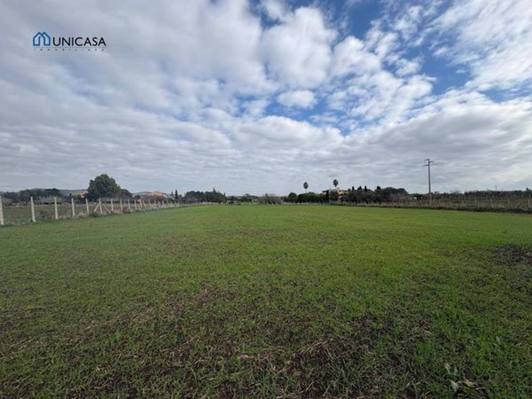 terreno agricolo in vendita a Cerveteri in zona Zambra