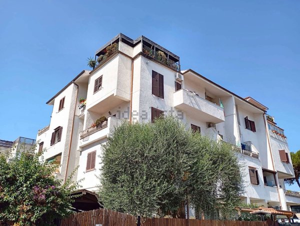 appartamento in vendita a Cerveteri in zona Marina di Cerveteri