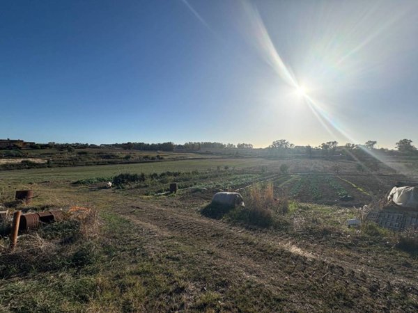 terreno agricolo in vendita a Cerveteri in zona Zambra