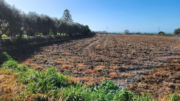 terreno agricolo in vendita a Cerveteri