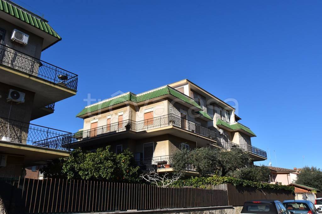 appartamento in vendita a Cerveteri