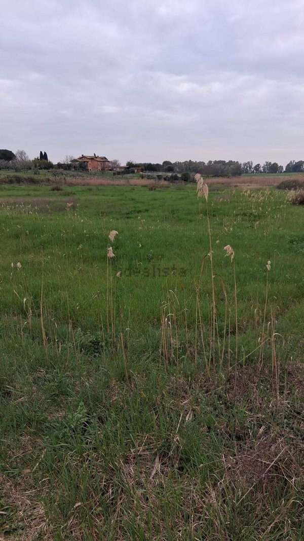 terreno agricolo in vendita a Cerveteri in zona Zambra