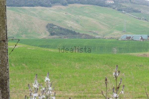 terreno agricolo in vendita a Cerveteri in zona Furbara