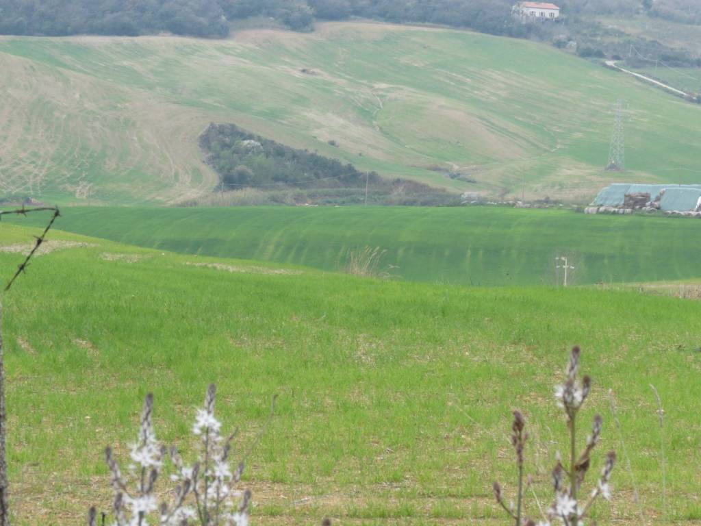 terreno agricolo in vendita a Cerveteri in zona Furbara