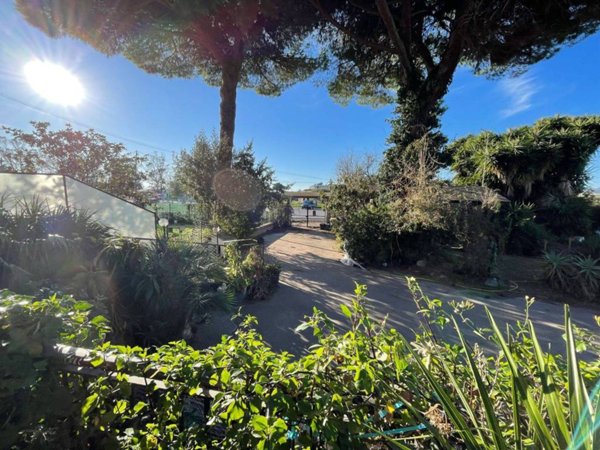 appartamento in vendita a Cerveteri in zona Sasso