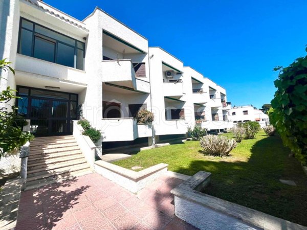 immagine annuncio 0 di 15