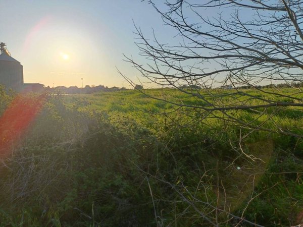 terreno edificabile in vendita a Cerveteri in zona Ceri