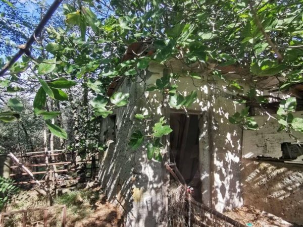 terreno agricolo in vendita a Cerveteri in zona Valcanneto