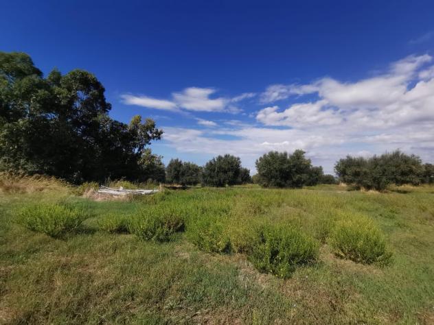 appartamento in vendita a Cerveteri in zona San Martino