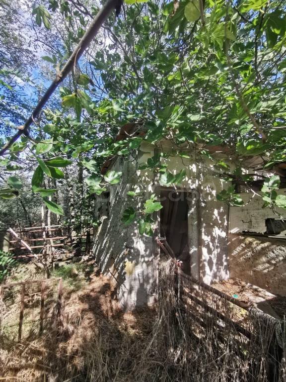 terreno agricolo in vendita a Cerveteri