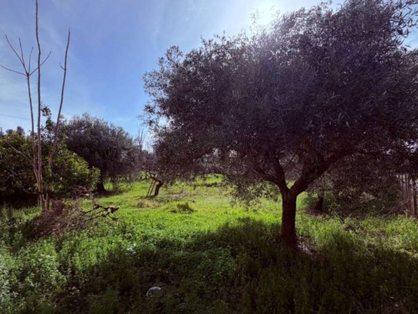 terreno agricolo in vendita a Cerveteri