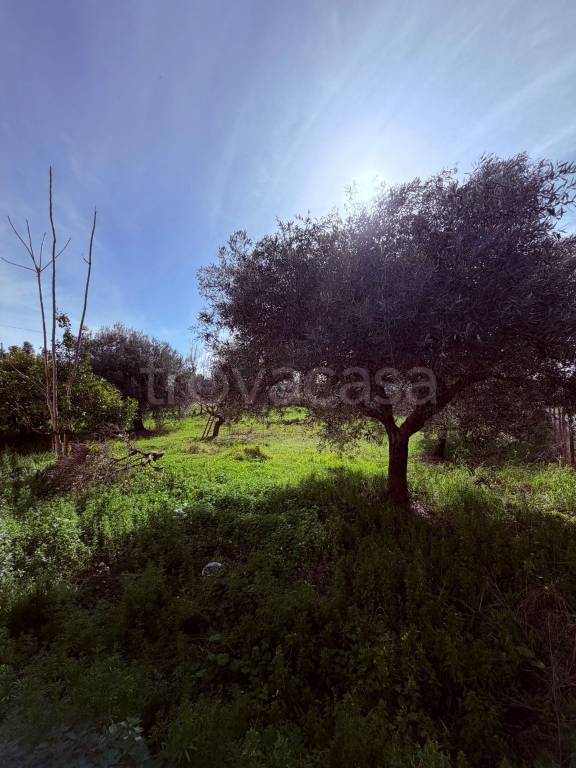 casa indipendente in vendita a Cerveteri