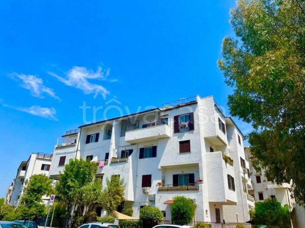 appartamento in vendita a Cerveteri in zona Marina di Cerveteri