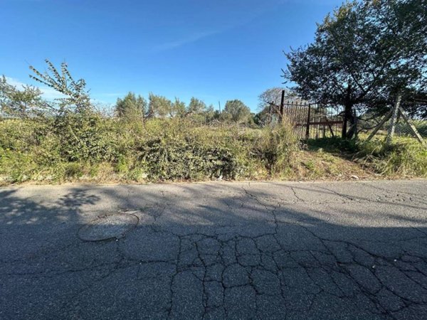terreno agricolo in vendita a Cerveteri