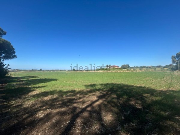 terreno agricolo in vendita a Cerveteri