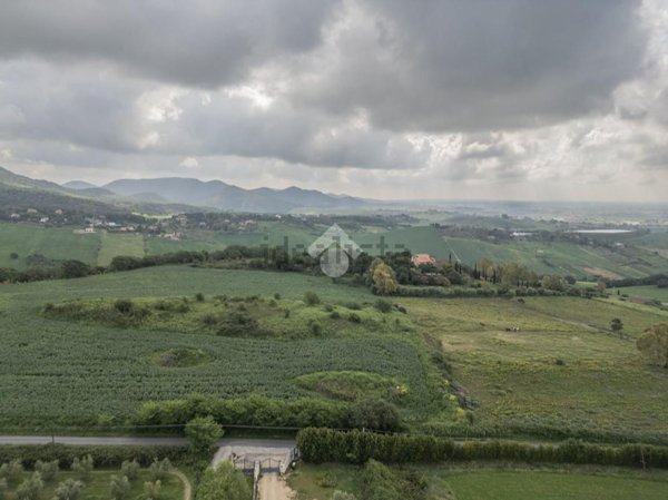 terreno agricolo in vendita a Cerveteri