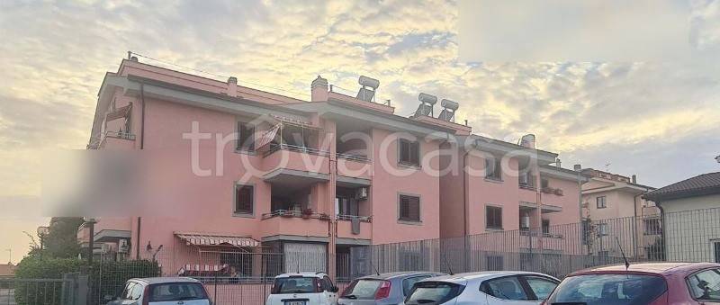 appartamento in vendita a Cerveteri