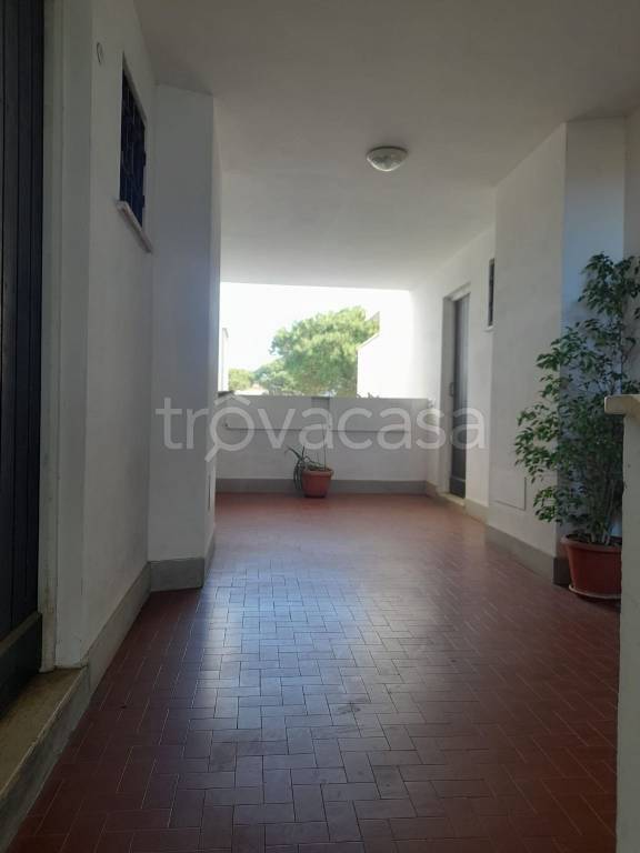 appartamento in vendita a Cerveteri in zona Marina di Cerveteri