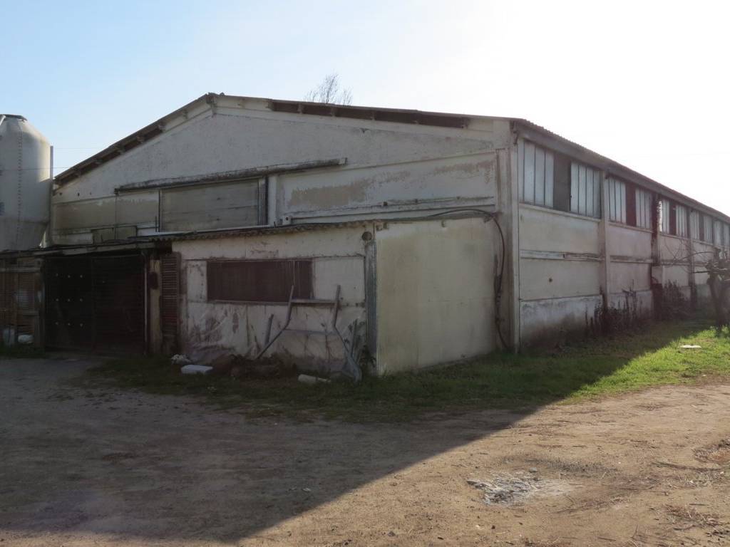 locale commerciale in vendita a Cerveteri in zona Marina di Cerveteri