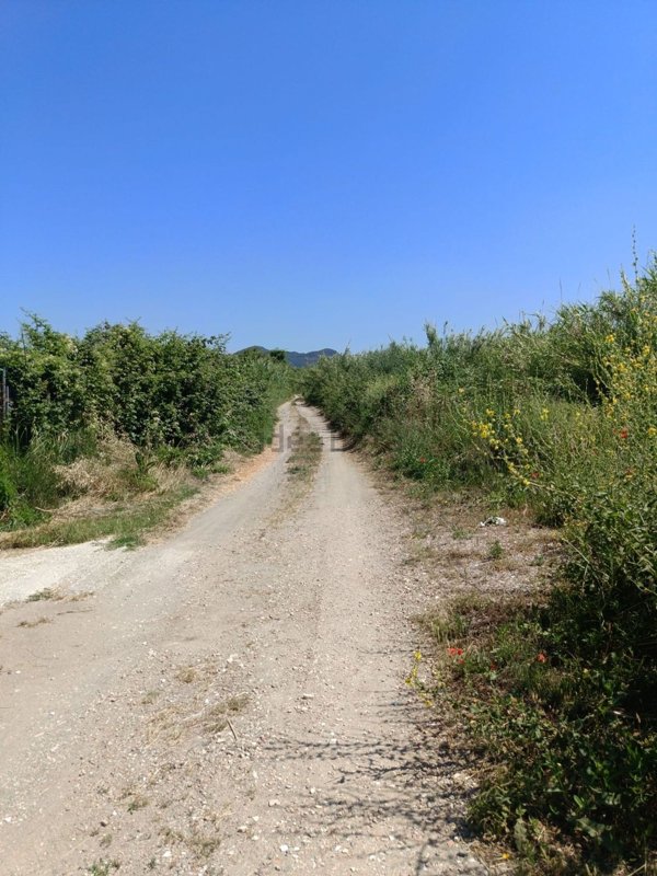 terreno agricolo in vendita a Cerveteri in zona Sasso