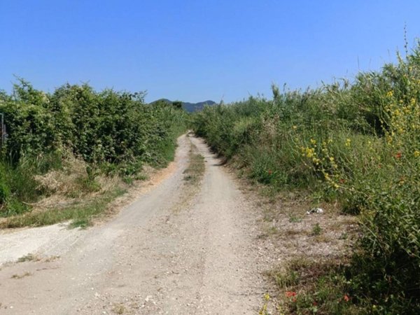 terreno agricolo in vendita a Cerveteri in zona Sasso