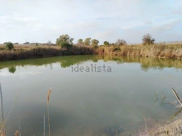 terreno agricolo in vendita a Cerveteri in zona Zambra