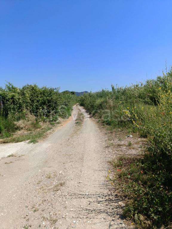 terreno agricolo in vendita a Cerveteri in zona Sasso