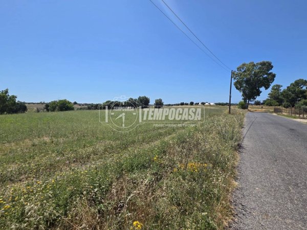 terreno agricolo in vendita a Cerveteri in zona San Martino