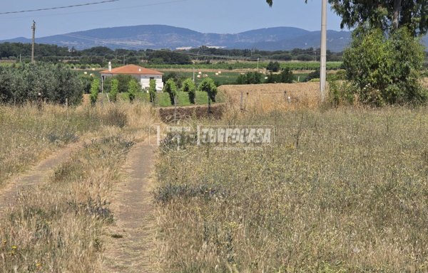 terreno agricolo in vendita a Cerveteri in zona San Martino